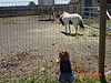 Jordan looking at Jinifir's pony