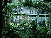 The rainforest exhibit