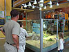 Ken, Tyler, and Jordan looking at some turtles
