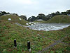 The living roof