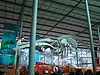 A prehistoric skeleton
