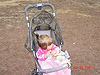 Jordan in her stroller