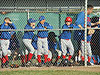 The Cubs