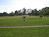 Tyler pitching