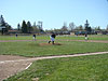 The Giants playing the field