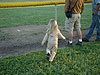 Jordan running around