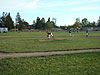 Tyler pitching