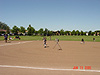 The Giants playing the field
