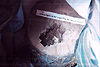 A picture Tyler took of a nest