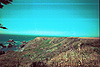 A picture Tyler took at Bodega Bay