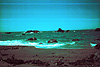 A picture Tyler took at Bodega Bay