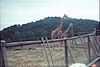 A picture Tyler took at Safari West
