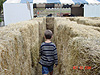 Tyler in the maze