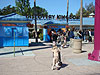 Us arriving at Discovery Kingdom