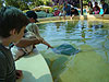 Tyler, Ken, and Jordan petting sting rays