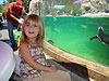 Jordan looking at the penguins