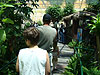 Tyler, Ken, and Jordan looking at the butterflies