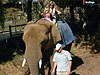 Jordan and Tanya riding an elephant