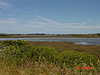 On the way to Doran Beach