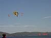 Our cute little tiger kite