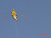 Another picture of our kite