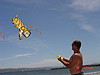 Ken still flying the kite