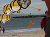 A closer view of the kite