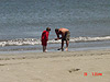 Looking for more crabs