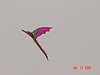 Our serpent kite