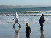 Ken, Jordan, and Tyler looking for shells