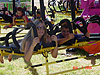 Tanya and Tyler getting ready for the ride to begin