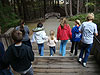 The kids heading down the path to the fort
