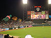 The park at night