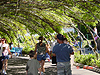 Tyler, Ken, and Jordan taking a walk in the shade
