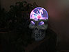 Some of our Halloween decorations