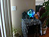 Some of our Halloween decorations