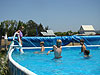 The kids swimming