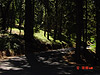 The road leading into the campground