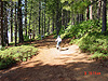 Tyler continuing on his long ride