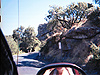 A cool rock formation of a man smoking a pipe