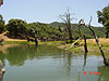 A view of the lake