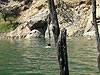 Tyler swimming to shore