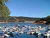 The marina