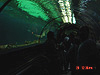 Inside the Shark Experience