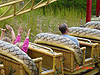 Getting ready to go up!