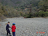 Tyler and Destry collecting sticks