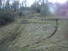 Tyler running up a hill