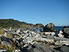 The beach 