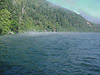 The fog on the lake