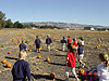Still looking for the perfect pumpkin